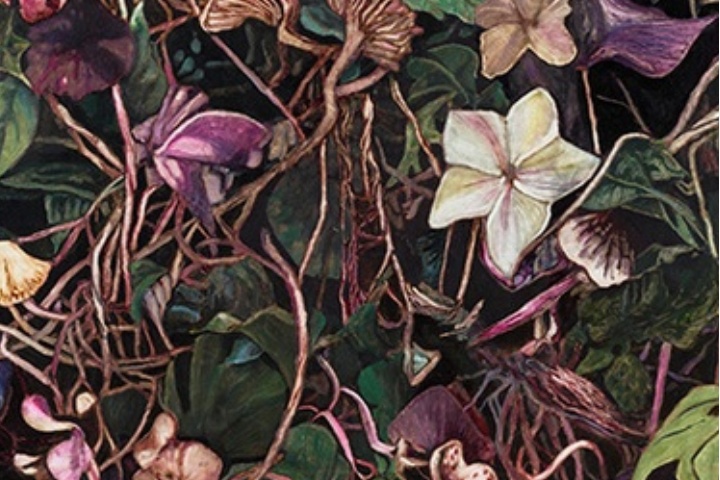 #SYMBIOSIS – Führung