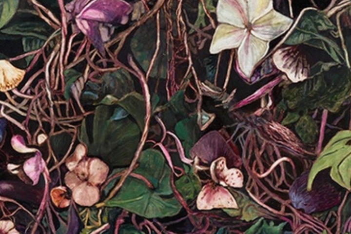 SYMBIOSIS | Kunst zwischen Mensch und Natur